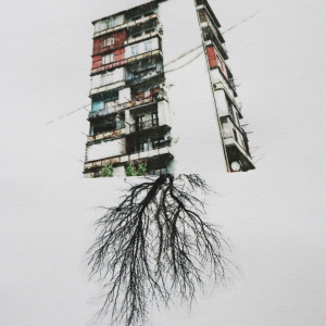 Home-5
