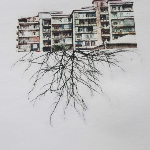 Home-6