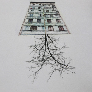 Home-8