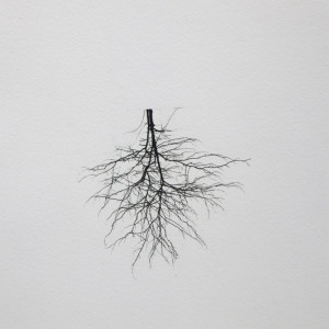 wurzeln 1, 2023, Lavendeldruck auf Papier, ca. 24x35 cm