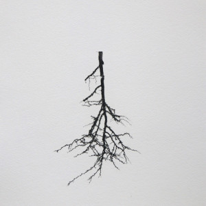 wurzeln 2, 2023, Lavendeldruck auf Papier, ca. 24x35 cm