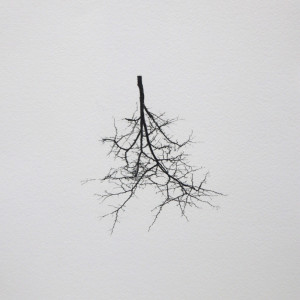 wurzeln 4, 2023, Lavendeldruck auf Papier, ca. 24x35 cm