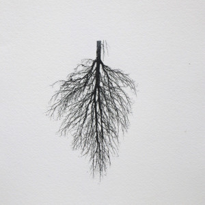 wurzeln 5, 2023, Lavendeldruck auf Papier, ca. 24x35 cm